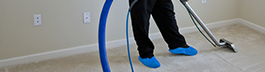 Carpet Cleaning